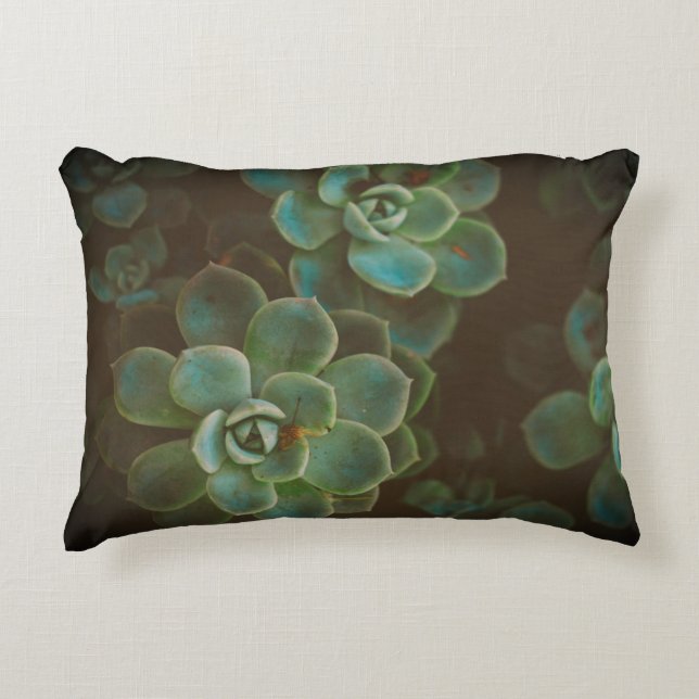 Coussins Décoratifs Plantes verts succulents (Devant)