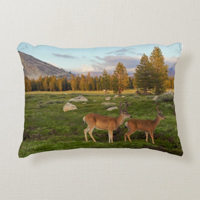 Coussins Décoratifs Pré de Tuolumne, Yosemite (Devant)