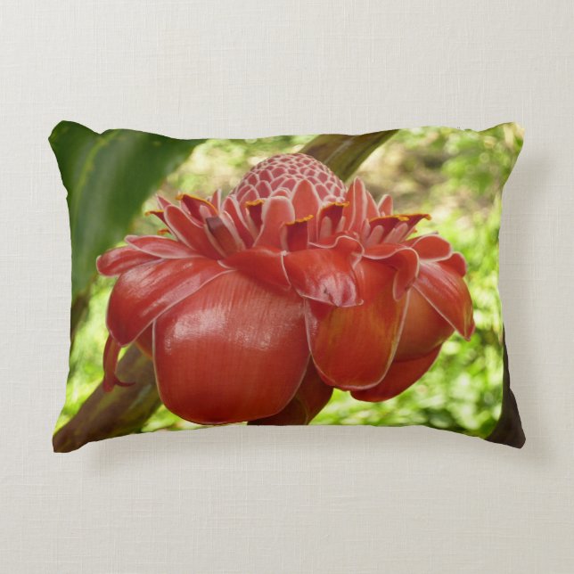 Coussins Décoratifs Red Torch Ginger Tropical Flower Photographie (Devant)