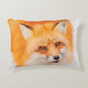 Coussins Décoratifs Renard rouge japonais se reposant, dormant et joua