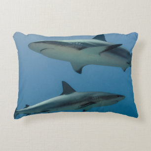 Coussins Décoratifs Requin des récifs des Caraïbes