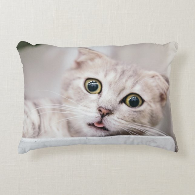 Coussins Décoratifs Scottish Fold (Devant)