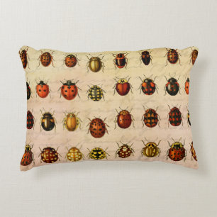 Coussins Décoratifs Spécimen de coccinelle vintage Motif Insecte antiq