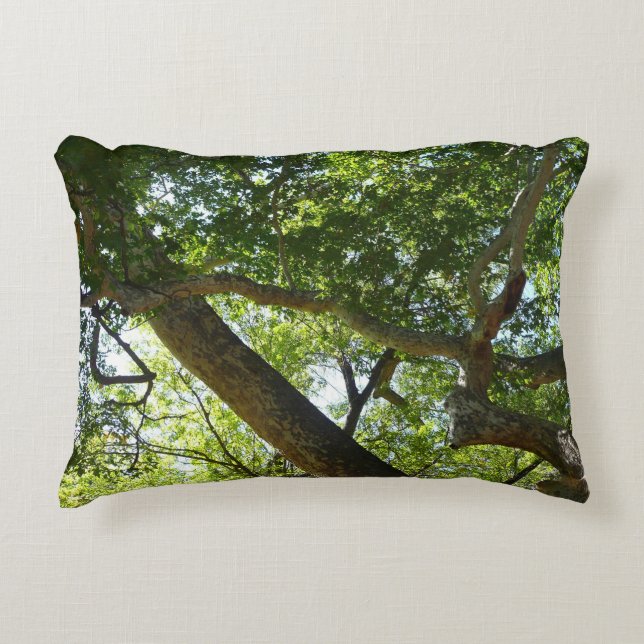 Coussins Décoratifs Sycamore Tree Nature verte (Devant)
