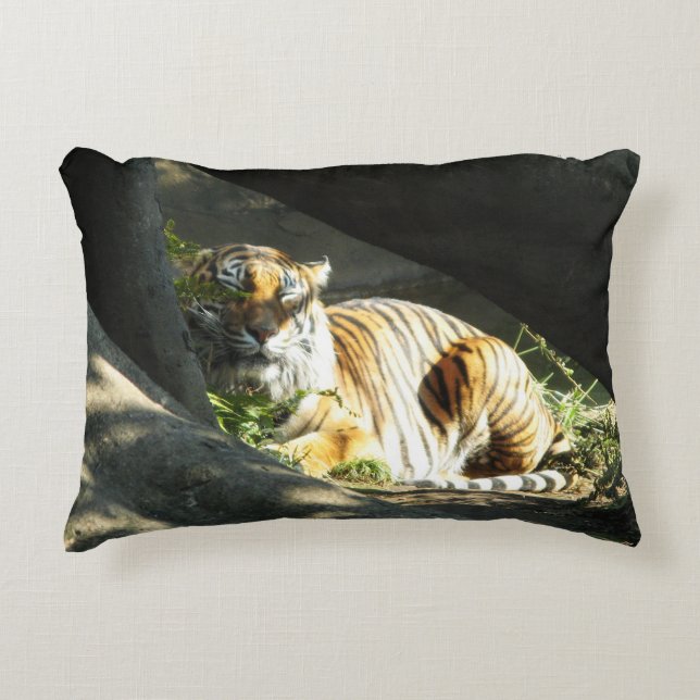 Coussins Décoratifs Tiger Catnap (Devant)