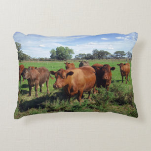Coussins Décoratifs Troupeau Brown De Vaches Dans Le Pays,