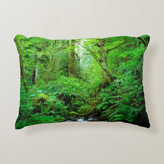 Coussins Décoratifs Un ruisseau dans une forêt ancienne (Devant)
