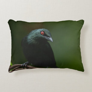 Coussins Décoratifs Vivid yeux rouges de l'asiatique lustré Starling