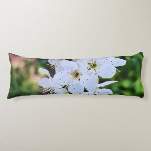 Coussins Longs Arbre en Fleur au Printemps Roumanie – Photographi
