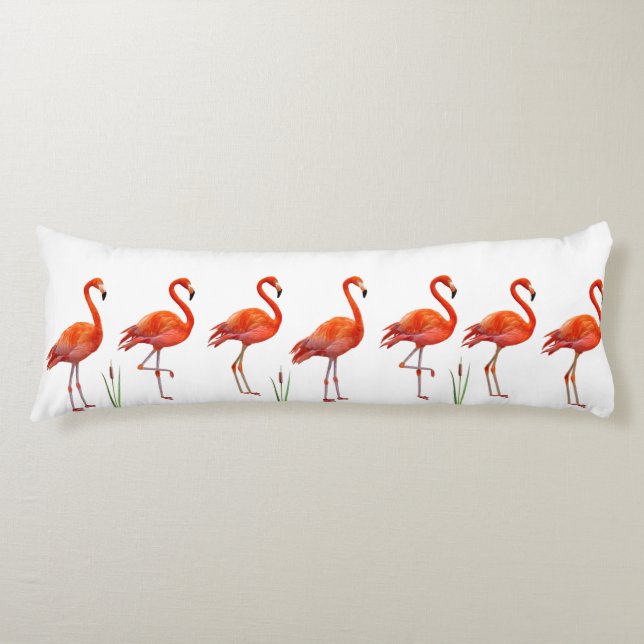 Coussins Longs Beaux Flamants roses roses sur blanc (Devant)