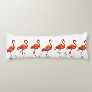 Coussins Longs Beaux flamants roses sur fond blanc