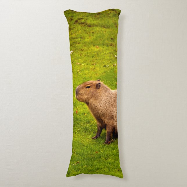 Coussins Longs Capybara (Devant (Vertical))