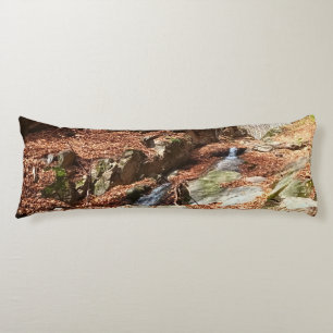 Coussins Longs Cascade de Montagne - Nature Sauvage Roumanie