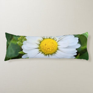 Coussins Longs Fleur Sauvage Roumanie – Photographie Botanique Ma