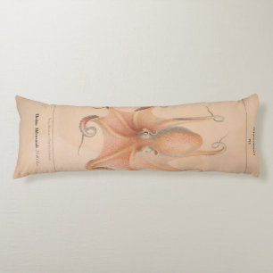 Coussins Longs Octopus vintage 1851 Eledon Aldrovandi