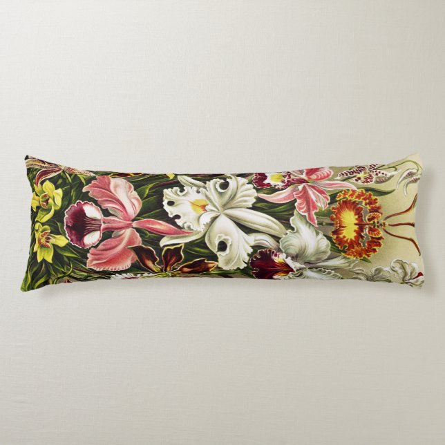 Coussins Longs Orchidées, Orchidées Denusblumen Ernst Haeckel (Devant)