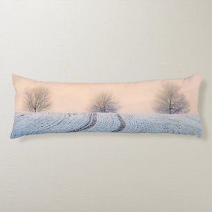 Coussins Longs Paysages hivernaux avec Hoarfrost -