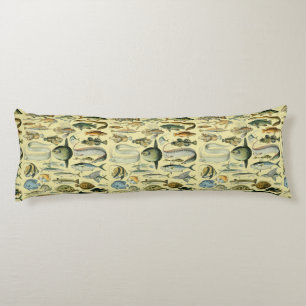 Coussins Longs Pêche scientifique vintage