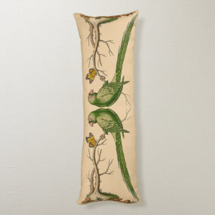 Coussins Longs Perroquet sauvage et lampe à papillon
