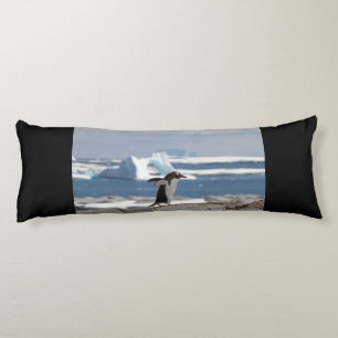 Coussins Longs Pingouin devant une arche de glace