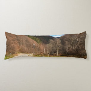 Coussins Longs Route sinueuse à travers la forêt – Nature sauvage