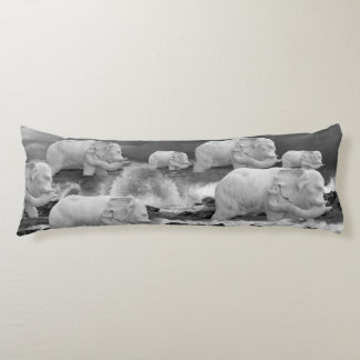 COUSSINS LONGS VOYAGE ÉLÉPHANT