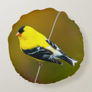 Coussins Ronds American Goldfinch - Photo originale