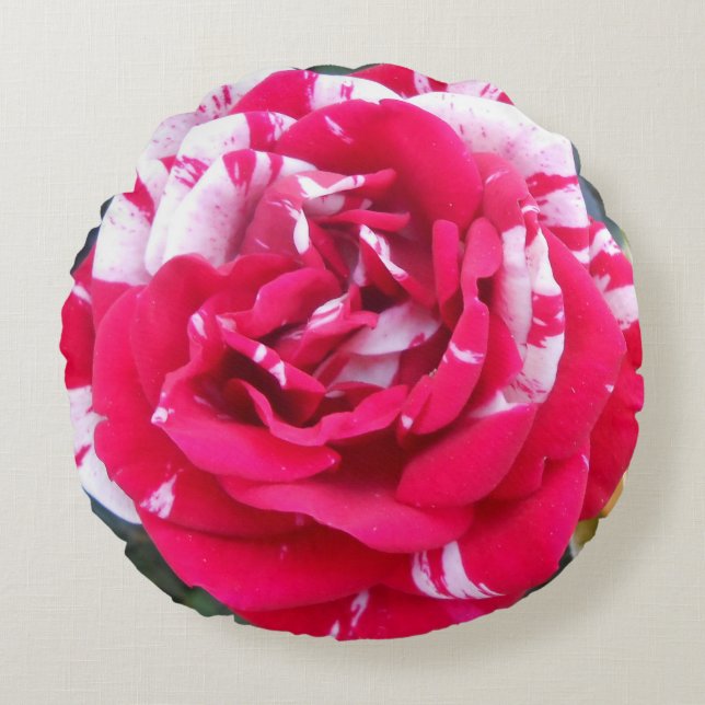 Coussins Ronds Ancienne (Devant)