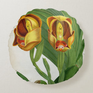 Coussins Ronds Anguloa Ruckerii Sanguine Lindenia Orchid