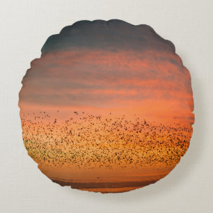 COUSSINS RONDS BEAU COUCHER DE SOLEIL AVEC OISEAUX