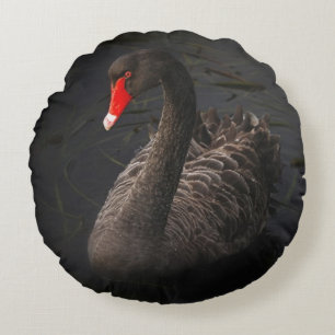 Coussins Ronds Beau cygne noir avec un bec rouge vif