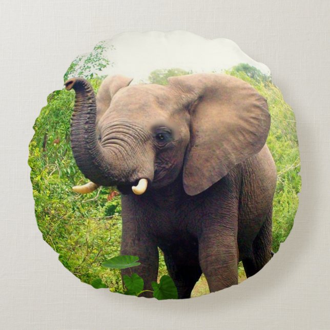 Coussins Ronds Beau éléphant africain et Plantes tropicaux (Devant)