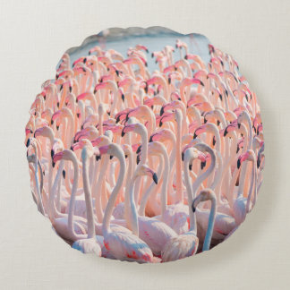 Coussins Ronds Beautiful and Wild - Flamingosflock, greater, pink