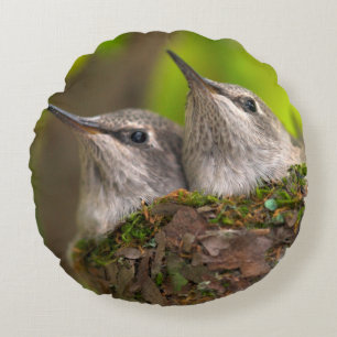 Coussins Ronds Bébés colibris