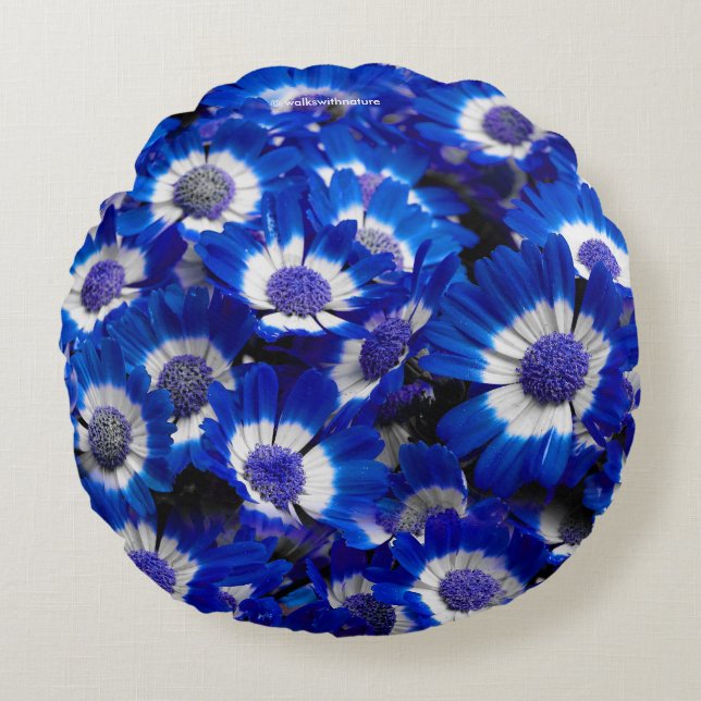 Coussins Ronds Belle Royal Blue Cineraria Fleurs (Devant)