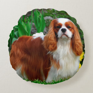 Coussins Ronds Blenheim Cavalier King Charles Spaniel Chien Chien