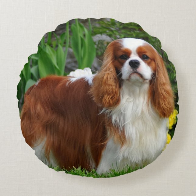 Coussins Ronds Blenheim Cavalier King Charles Spaniel Chien Chien (Devant)