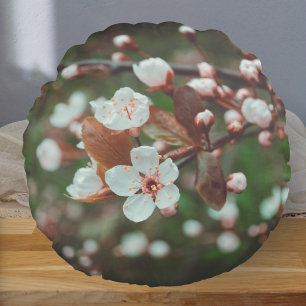 Coussins Ronds Branches de prune avec fleurs blanches