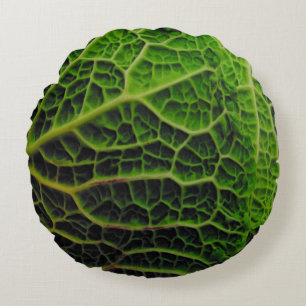 COUSSINS RONDS CABBAGE LANCE PILOTE