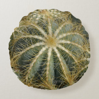 Coussins Ronds Cactus Vert Naturel Épineux