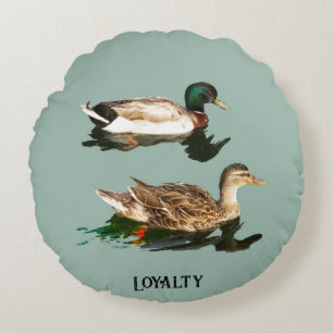 Coussins Ronds Canards colverts