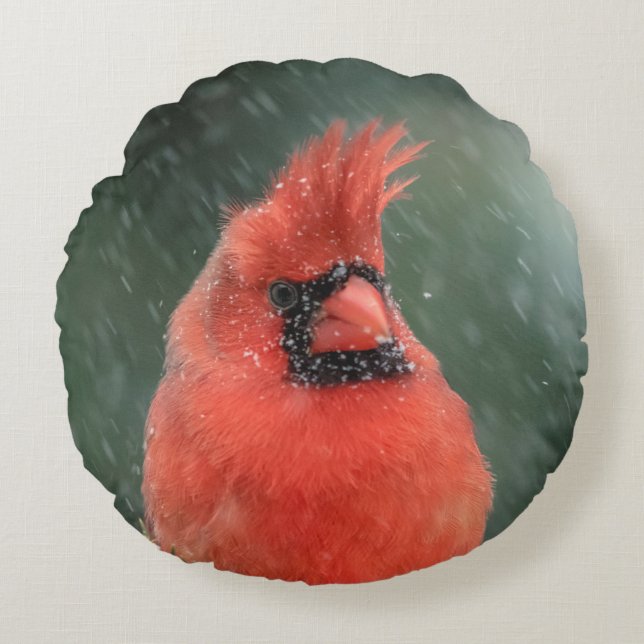 Coussins Ronds Cardinal dans un pin pendant une tempête de neige (Devant)