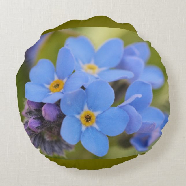 Coussins Ronds Carreau bleu de fleur de myosotis (Dos)