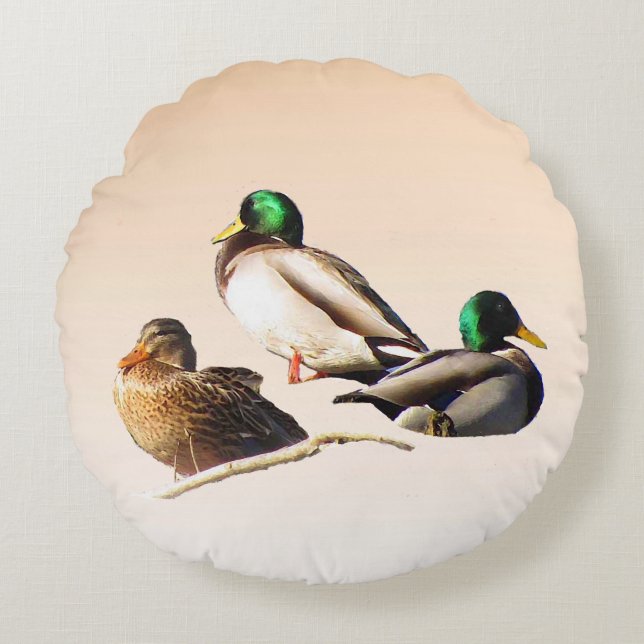 Coussins Ronds Carreau rond de trois canards de Mallard (Devant)
