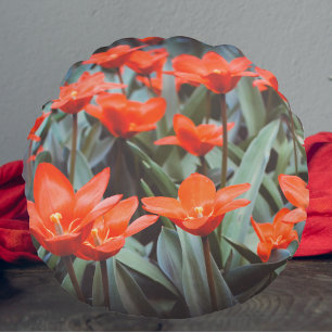 Coussins Ronds Champ de tulipe rouge