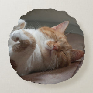 Coussins Ronds Chats mignons dormant Lève ronde oreiller