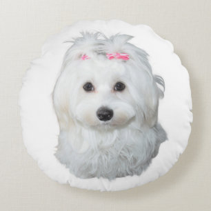 Coussins Ronds Chien maltais aux vaches roses