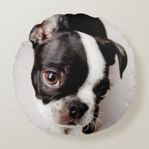 Coussins Ronds Chiot d'Edison Boston Terrier