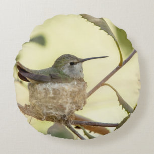 Coussins Ronds Colibri femelle sur son nid