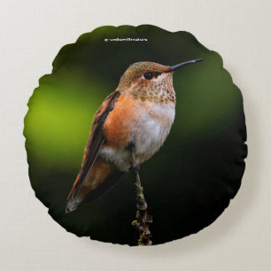 Coussins Ronds Colibri roux sur l'arbre hybride aux fruits